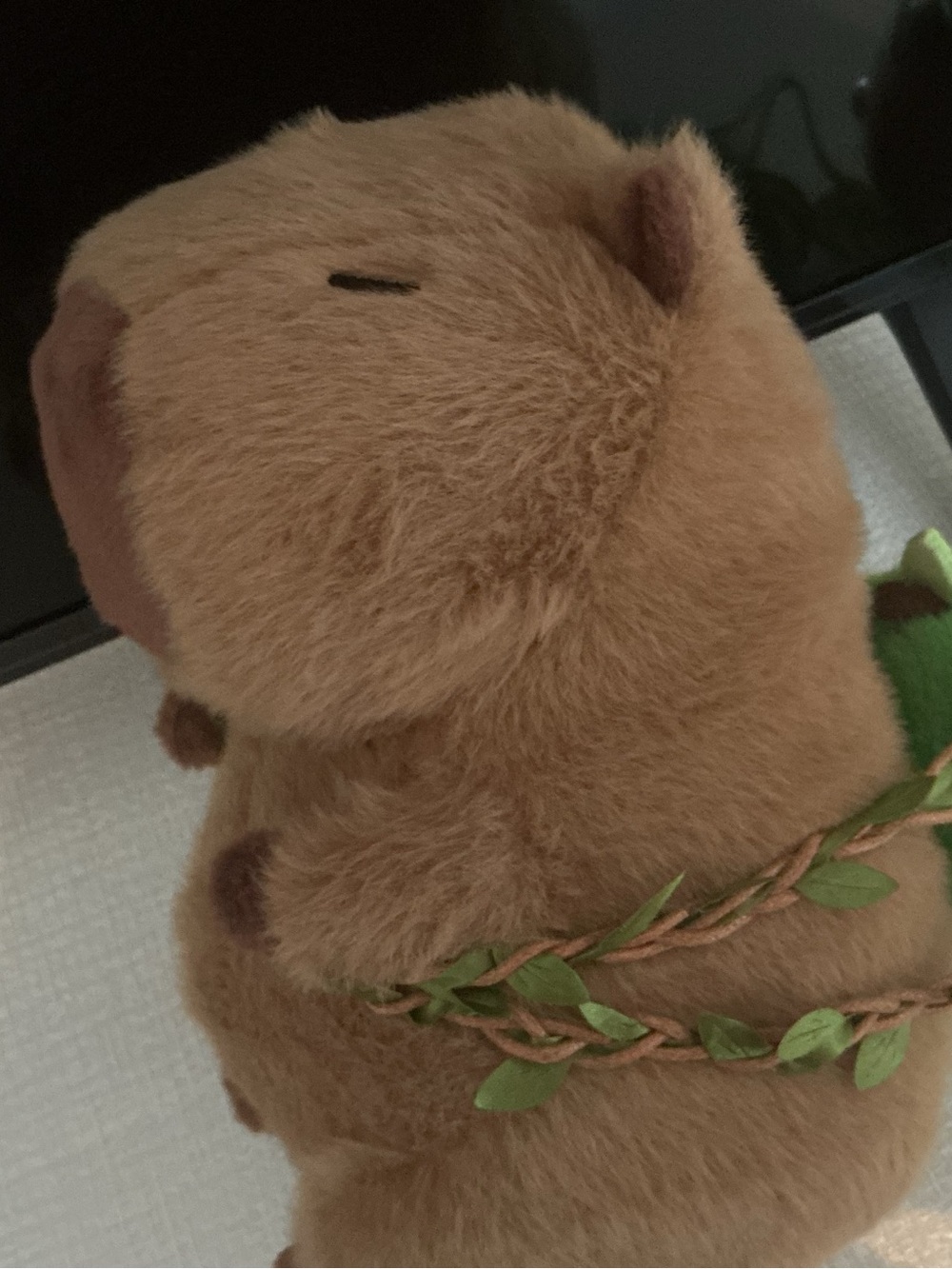 Cute capybara with avocado book bag and it’s very soft - Picture 3 of 5